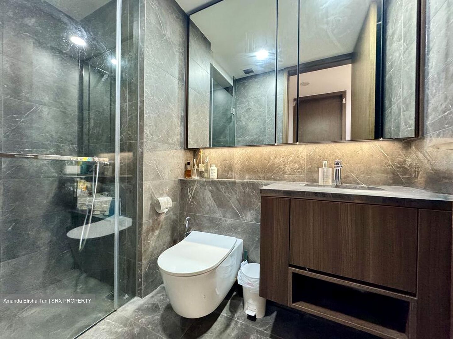 Kopar At Newton (D9), Apartment #503467931